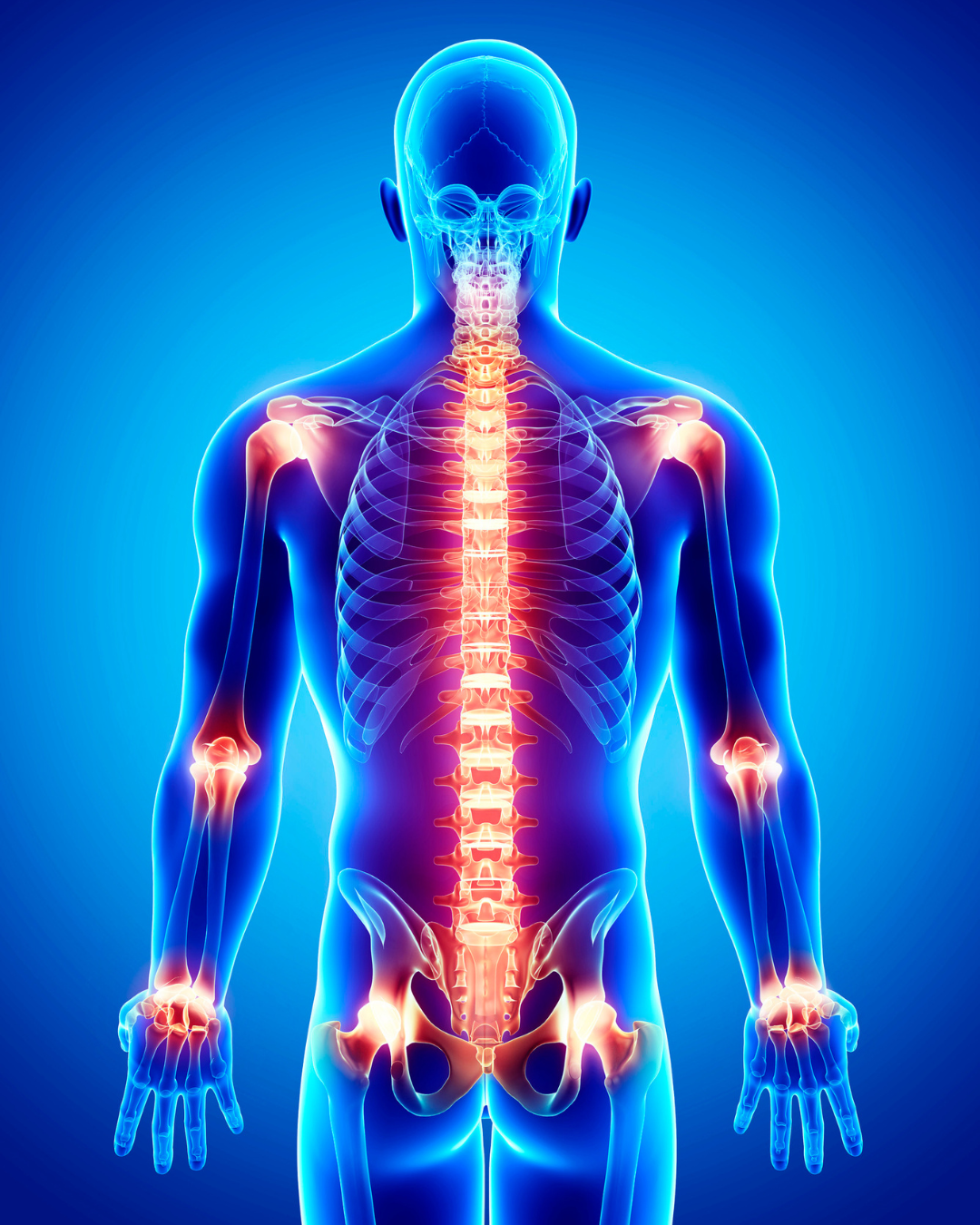 Hormones and Inflammation: The Missing Link Behind Chronic Pain