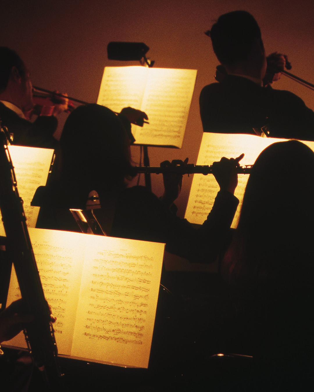The Symphony of Hormones: How Estrogen, Progesterone, and Testosterone Create the Music of Your Health