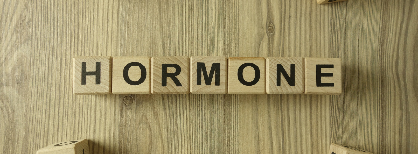 BHRT vs Traditional Hormone Therapy: What's the Difference?