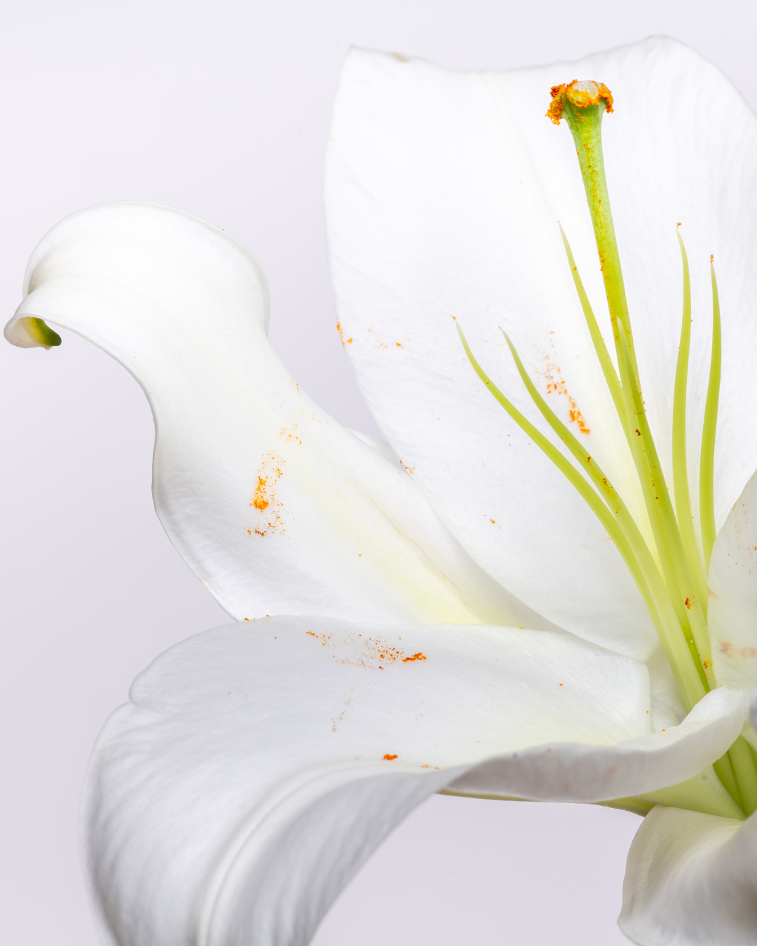 The Unseen Shift: Understanding Menopausal Body Odor Changes Beyond Hormones